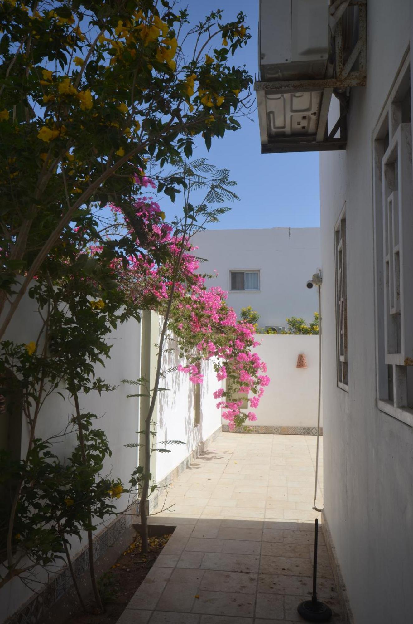 Elite Residence Dahab Bagian luar foto